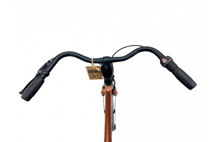 Woman's bicycle Batavus Diva 24"/45cm/brown