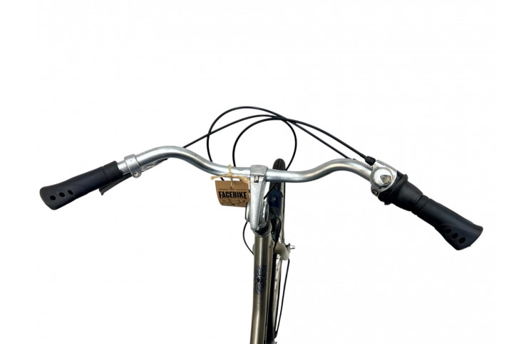 Women's bicycle Batavus Live 28" 58cm bronze-blue