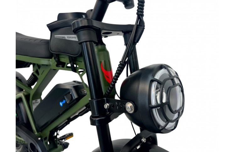 DIABLO E-BIKE, E-ONE, MATT-GREEN, 1000819 ACCU 15AH 48V 720WH