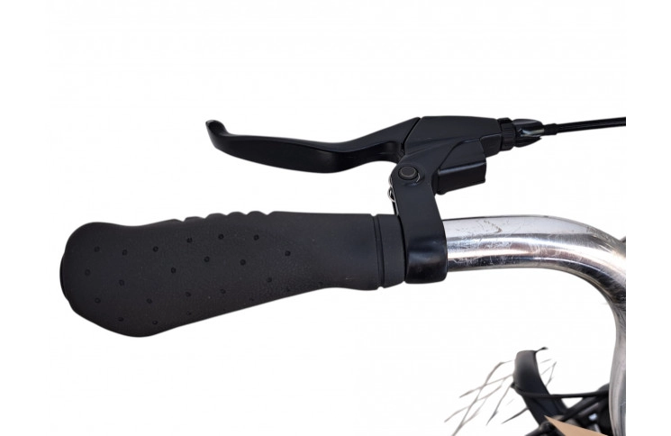 Man's bicycle Giant Freerider 28"/54cm/blue