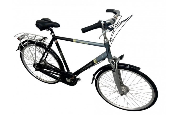 Men's bicycle Batavus Intermezzo 28" 55 cm grey