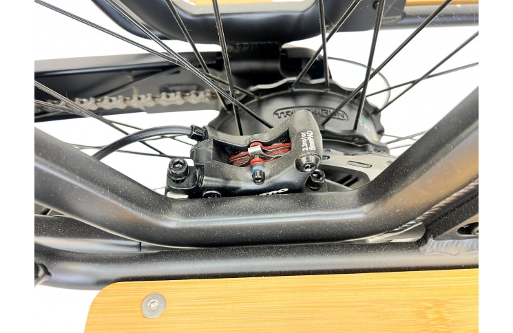 E-BIKE VOGUE WONDER 20"/matt-zwart/2 accu 9.6AH,12.8AH