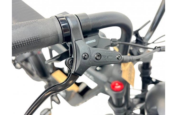 E-BIKE DIABLO BABOON 20" matt black (48V 15Ah 696Wh)