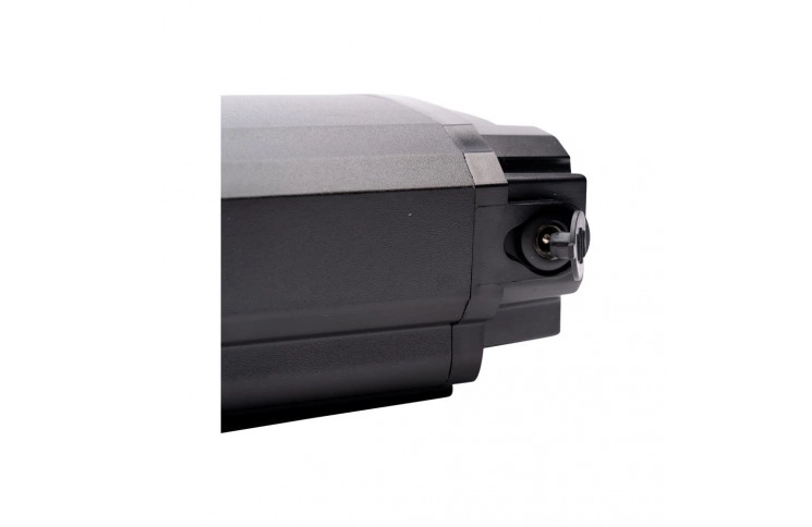 Brinckers, Forza, Freebike bagagedrager fietsaccu 36V 15.6Ah incl. nieuwe lader