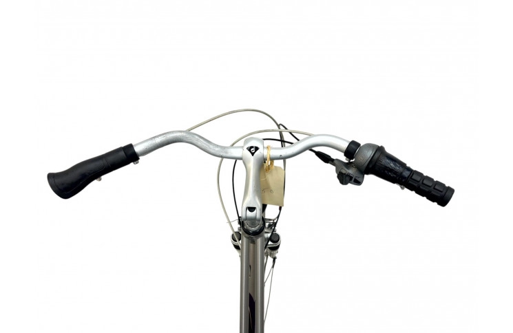 Woman's bicycle Giant Custom Dual Drive w/grey/28/al/sity/50cm