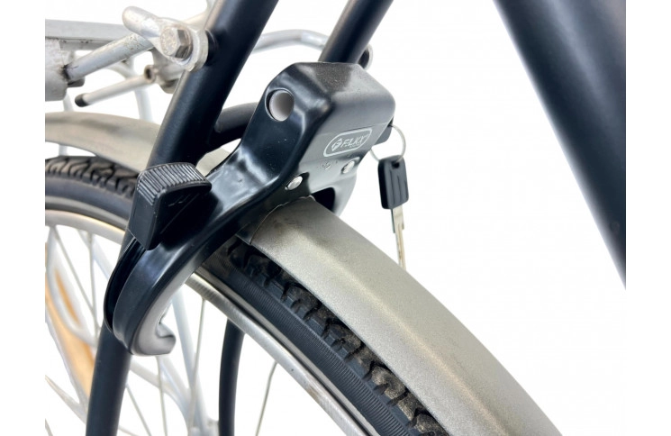 Man's bicycle Batavus Live 28" L/57