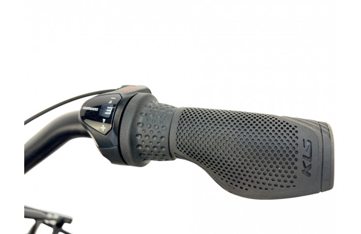 Woman's bicycle FaceBike Nl 28" S/51