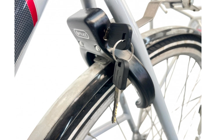 Woman's bicycle Batavus Fuego w/silver/sity/al/28/53