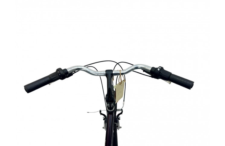 Woman's bicycle Dawes Street Lite 28" 54