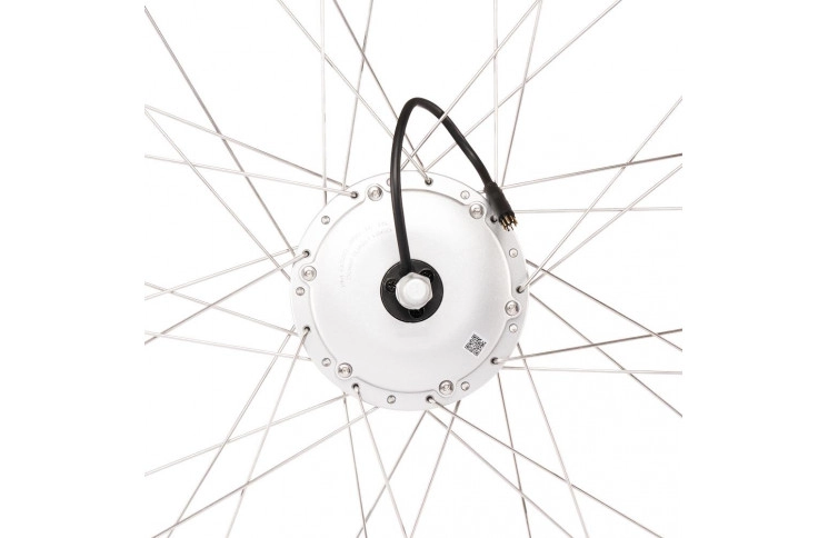 Bafang voorwielmotor 36V 250W FM G320.250.R Rollerbrake (235RPM)