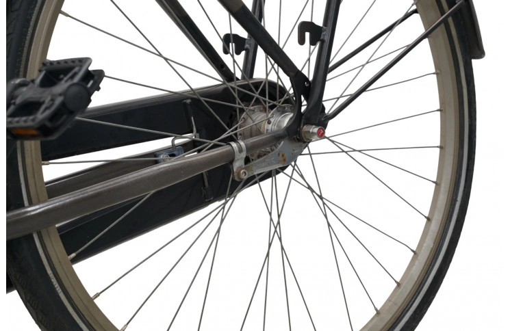 Woman's bicycle Rivel Orlando 28"/54cm/Brown