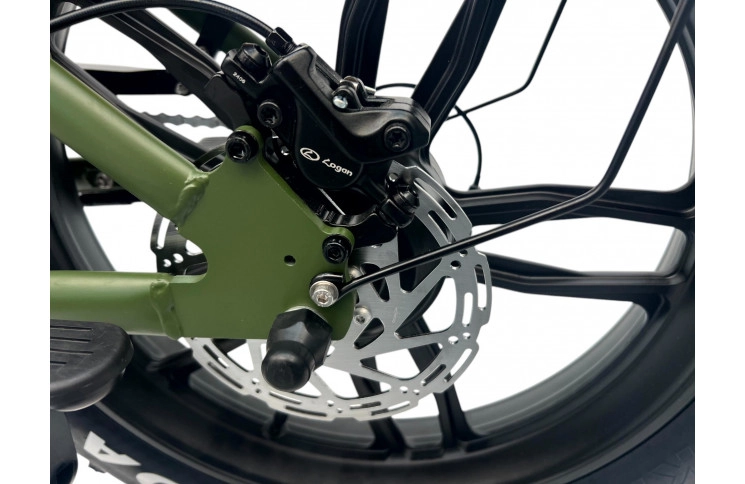 DIABLO E-BIKE, E-ONE, MATT-GREEN, 1000819 ACCU 15AH 48V 720WH