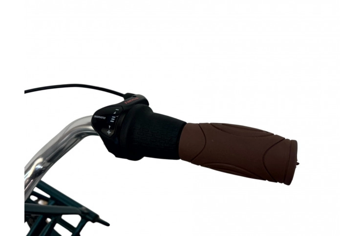 Damesfiets Popal Daily Dutch Basic N3 28"/47/Forest green/S040147010G,28-47