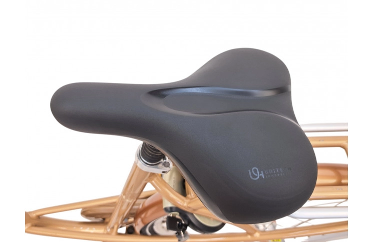 Woman's bicycle Batavus Mambo 28"/53cm/gold