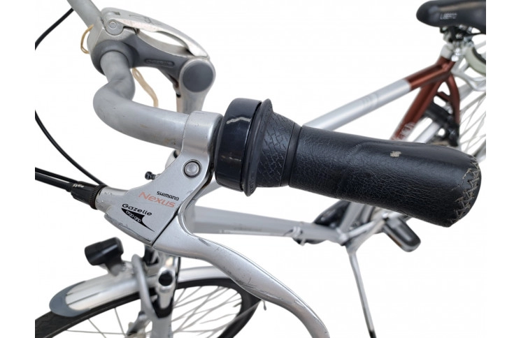 Man's bicycle Gazelle Chamonix 28/61cm/gray