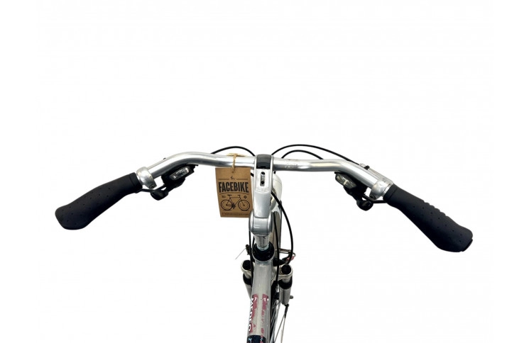 Man's bicycle Gazelle Medeo 28" 57