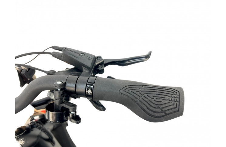 E-BIKE VOGUE WONDER 20"/matt-zwart/2 accu 9.6AH,12.8AH