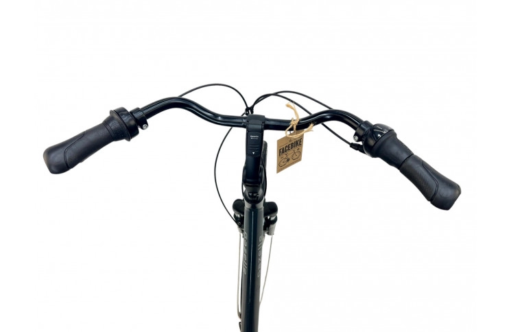 Woman's bicycle Gazelle Orange 28"/50cm/gray