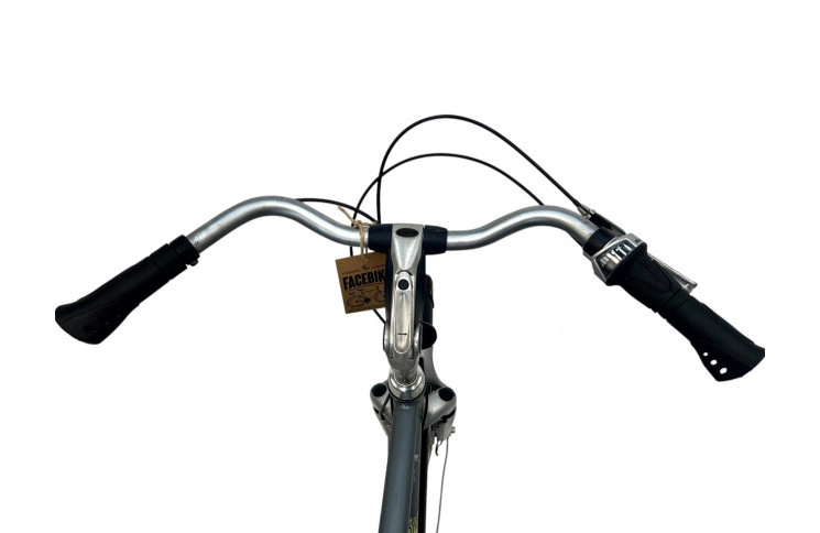 Men's bicycle Batavus Intermezzo 28" 55 cm grey