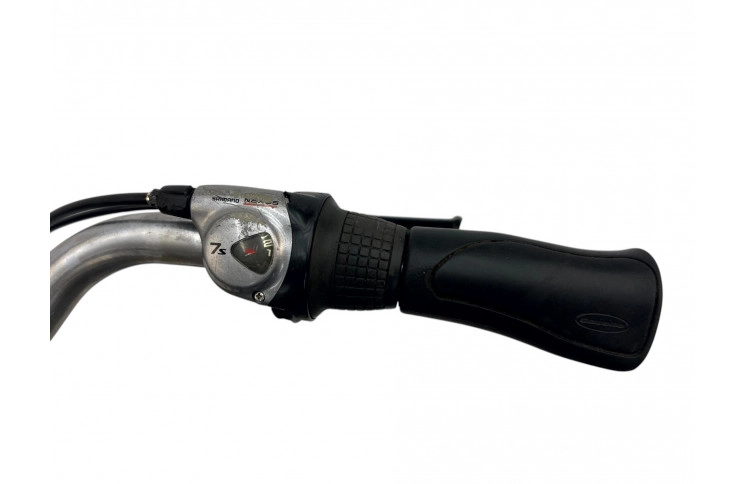 Man's bicycle Gazelle Orange 28" 65