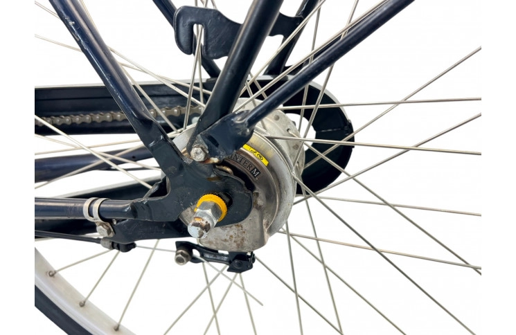 Women's bicycle Batavus Live 28" 58cm bronze-blue