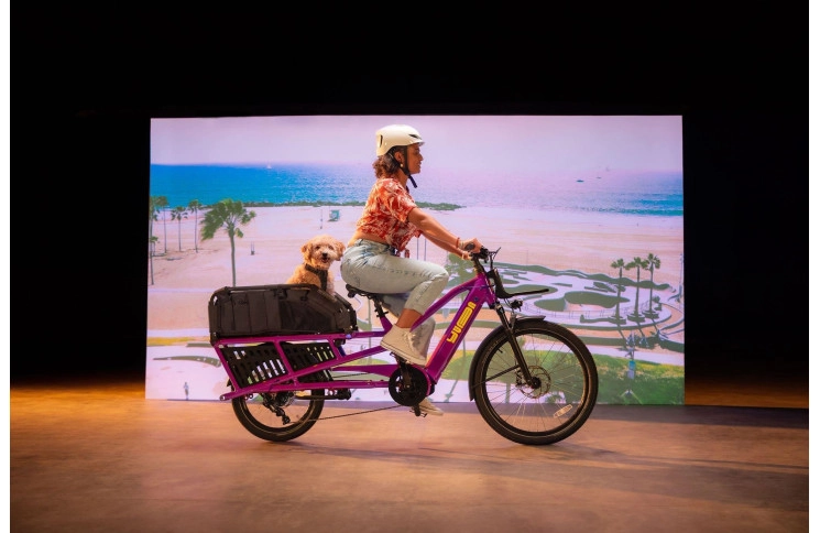 Longtail Yuba Spicy Curry Family Edition 20"-26" Geel 2024