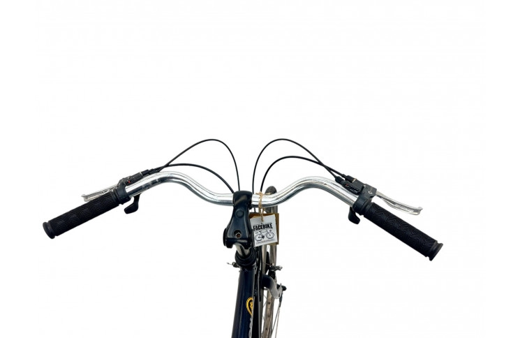 Man's bicycle Batavus Tenson 28" 60