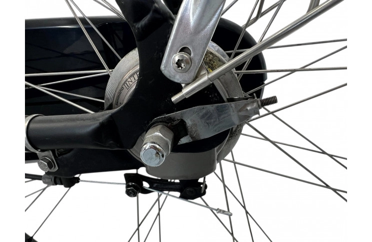 Woman's bicycle Batavus Mambo 28" 54