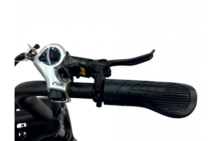 DIABLO E-BIKE, E-ONE, MATT-GREEN, 1000819 ACCU 15AH 48V 720WH