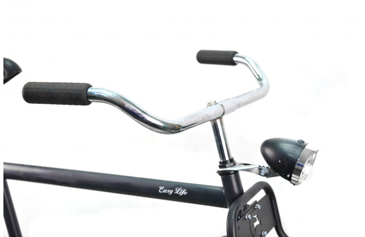 Man's bicycle Hollandia Easy Life