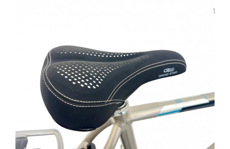 Man's bicycle Gazelle Chamonix 28" XL/61