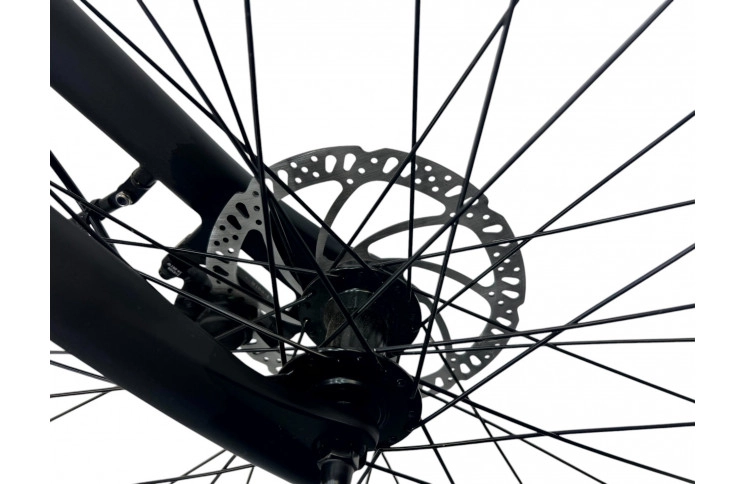 City e-bike VanDijck Freya L M300, 36V18.2Ah 655 Wh, 56, grey-blue