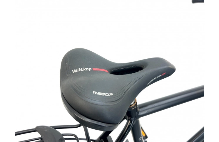 Man's bicycle Gazelle 28"/60cm/black