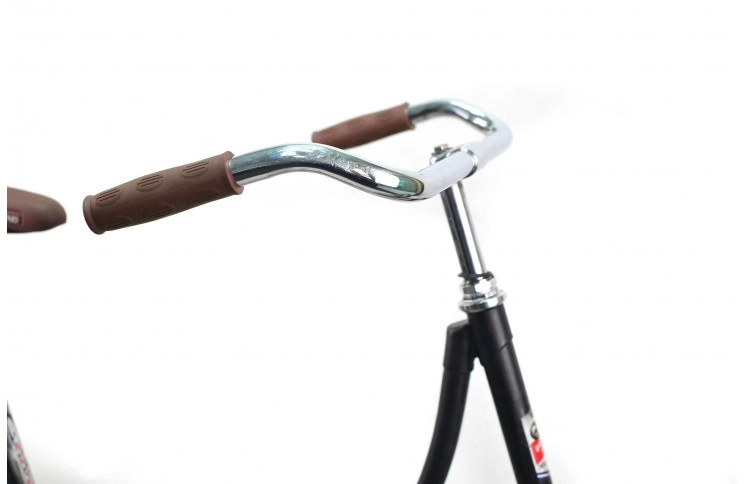 Damesfiets Hoordster