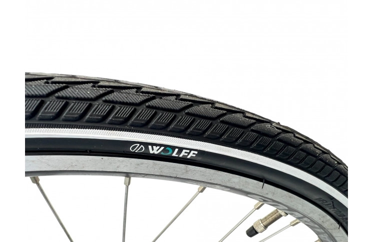 Man's bicycle Batavus Monte carlo M/al/blauw/28/ stad/f53