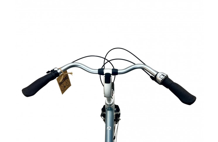 Woman's bicycle Batavus Genova 28"/53cm/Blue