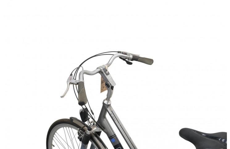 Woman's bicycle RiH Z-900 28"/54cm/Gray