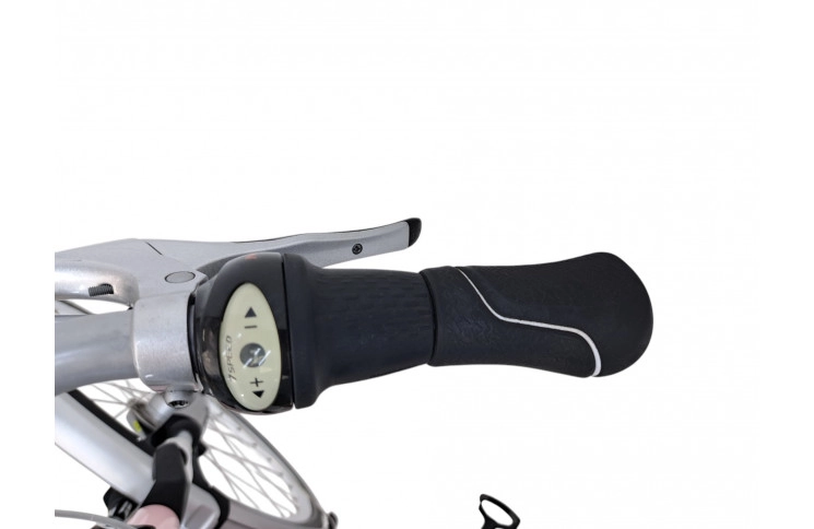 Woman's bicycle Gazelle Orange Plus 28"/57cm/pink