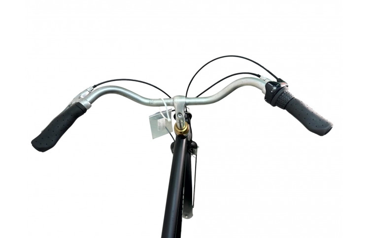 Man's bicycle Batavus BlockBuster 28"/50cm/Black