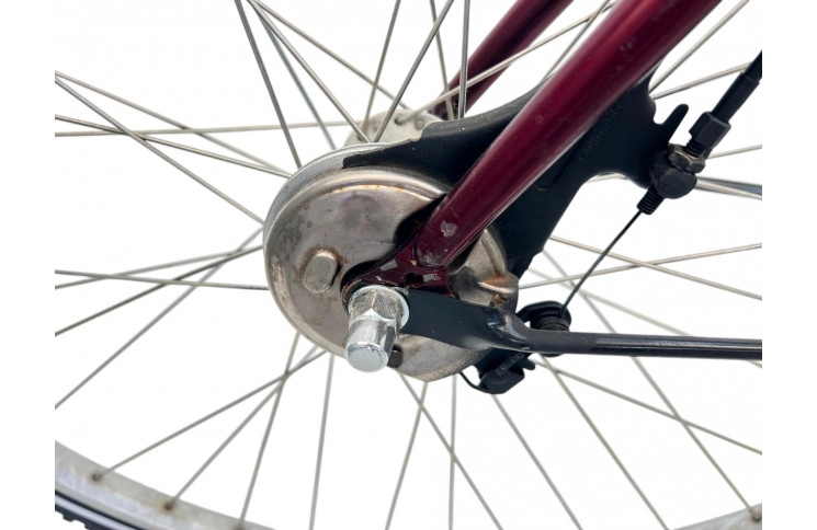 Herenfiets Marathon Ithaka 28" 58