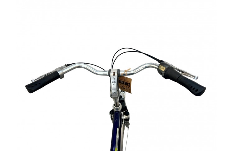 Men's bicycle Gazelle Chamonix 28" 61 cm bronze-purple