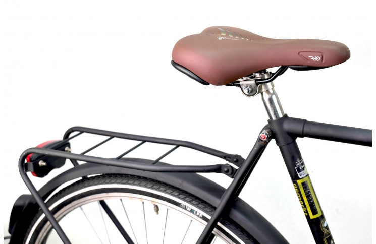 Man`s bike Gazelle Sport Solide