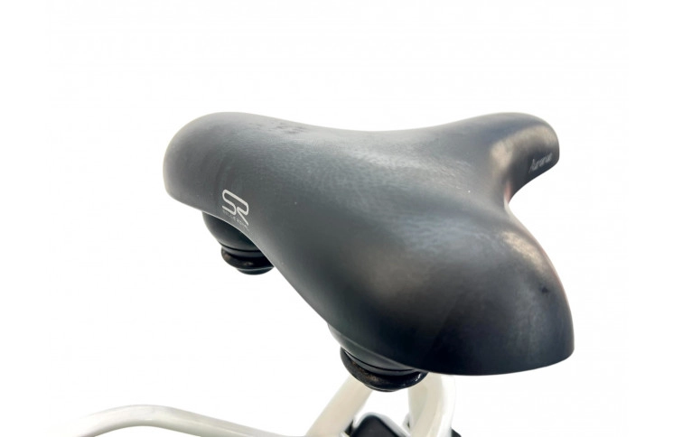 Woman's bicycle Batavus Postcode D/al/wit/28/stad/f56cm