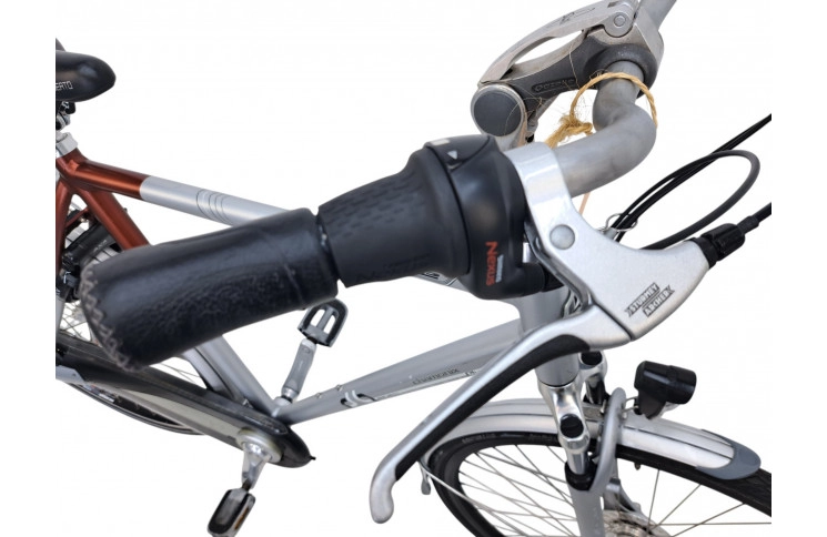 Man's bicycle Gazelle Chamonix 28/61cm/gray