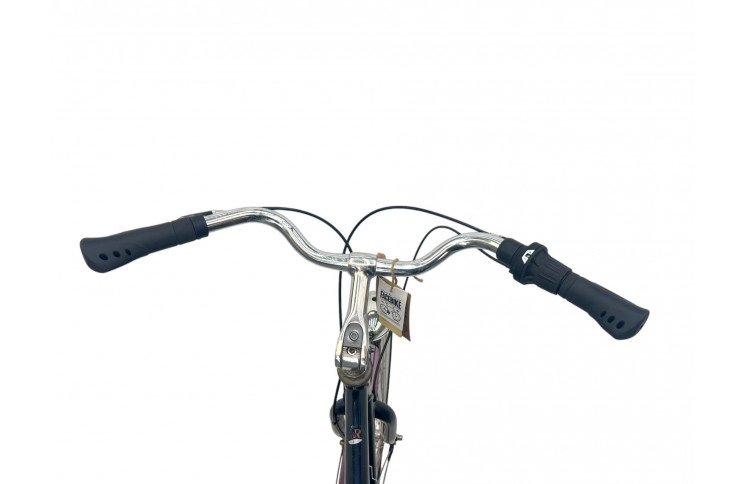 Man's bicycle Giant Freerloer 28" 60