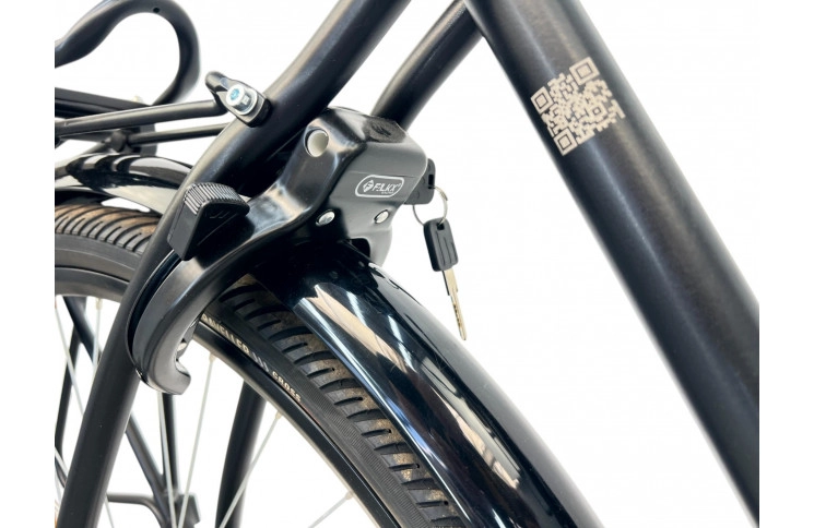 Woman's bicycle FaceBike Nl 28" S/51