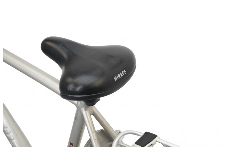 Man's bicycle Batavus Vivente 28"/57cm/gray