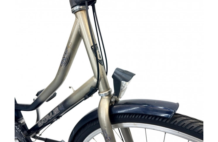 Women's bicycle Batavus Live 28" 58cm bronze-blue