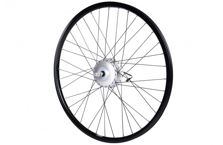 Bafang Front Wheel Motor 43V 250W FM G320.250.R Roller Brakes