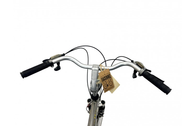 Man's bicycle Gazelle Murcia 28" 57